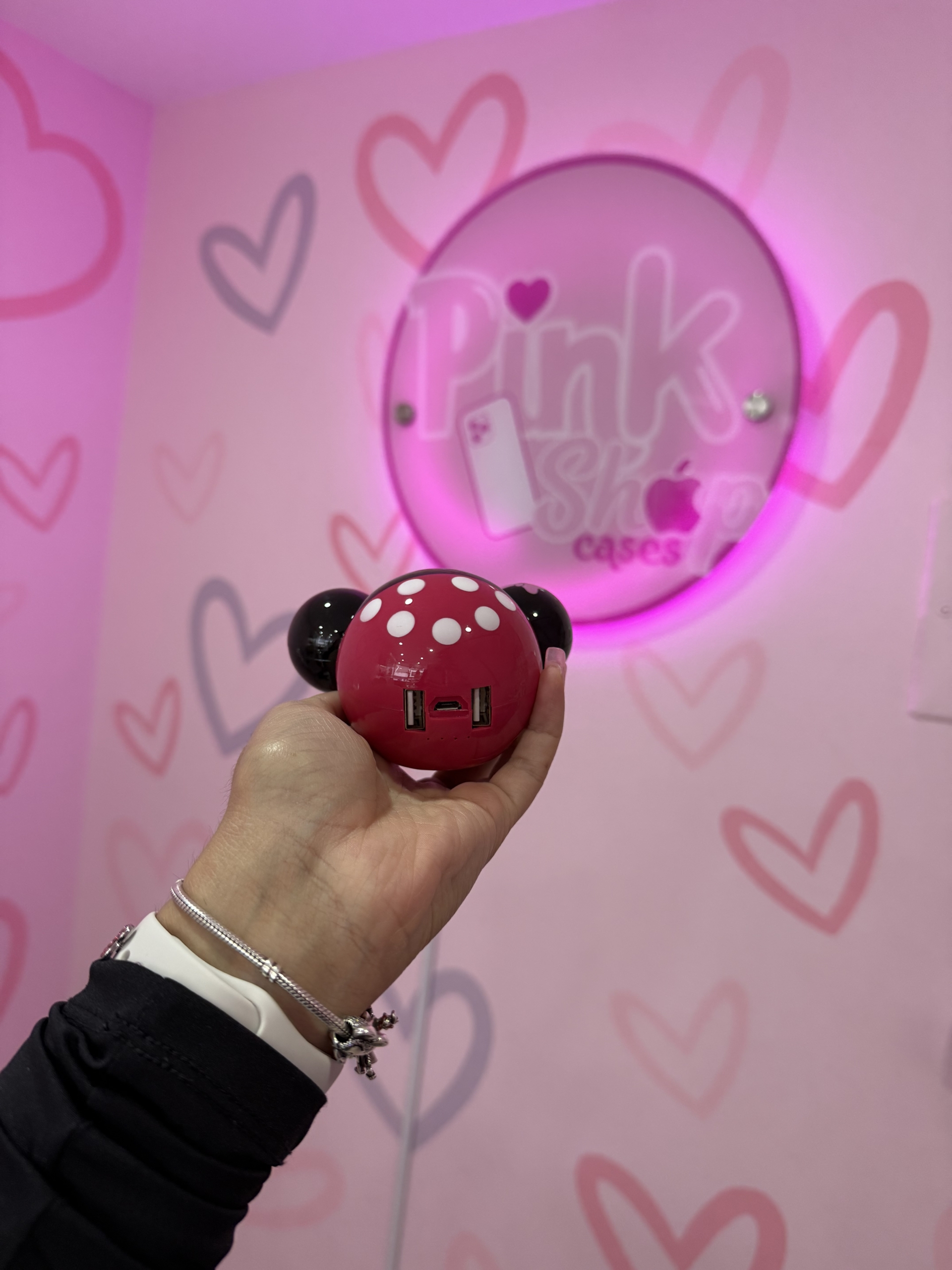 PowerBank - Imagen 15